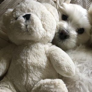 Meet your Posher, Tori